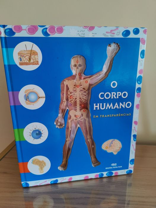 Livro cartonado O corpo humano em transparências