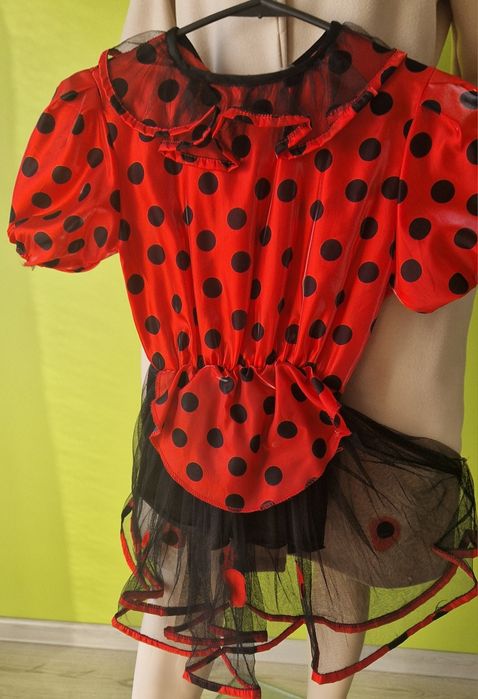 Kostium,  przebranie, sukienka Biedronka