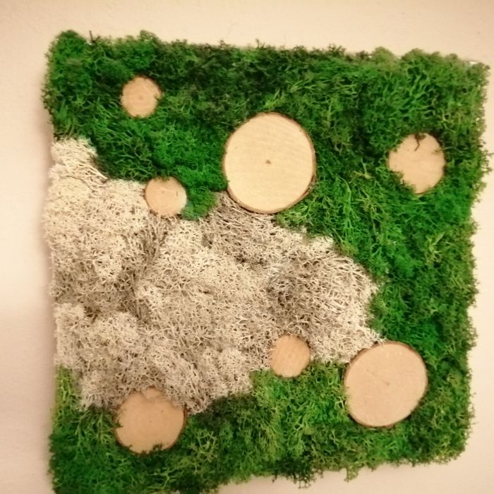 Obraz mech chrobotek stabilizowany drewno juta dekoracja