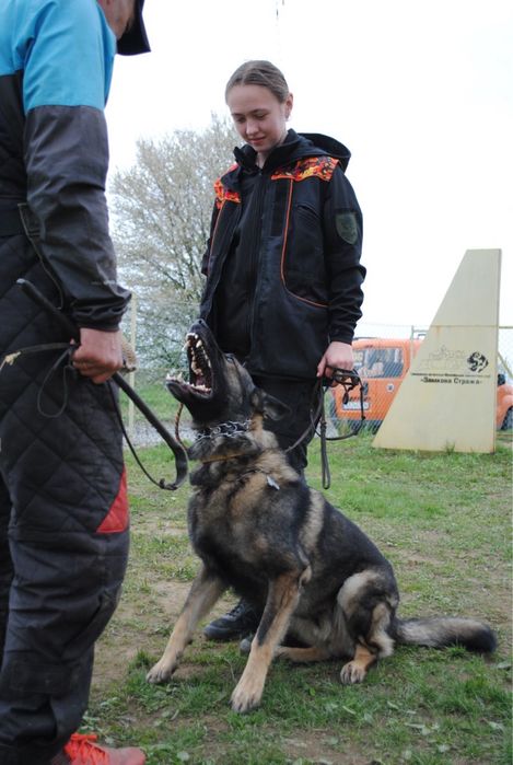 Кінолог | Дресирування собак у Мукачеві