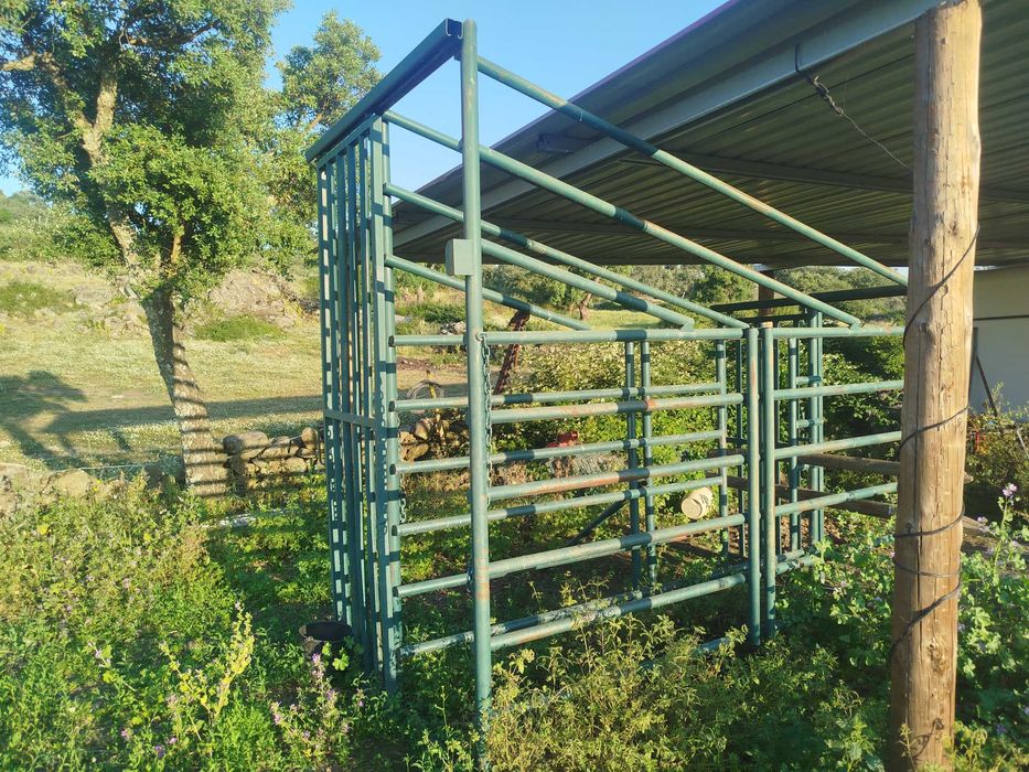 Manga vacas ou cavalos