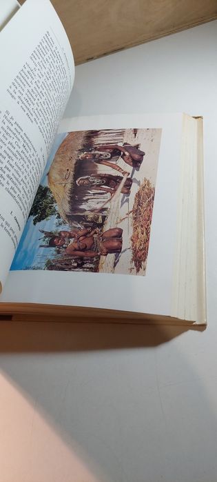 Etnografia de Angola (Sudoeste e Centro) Carlos Estermann (Volume 1)