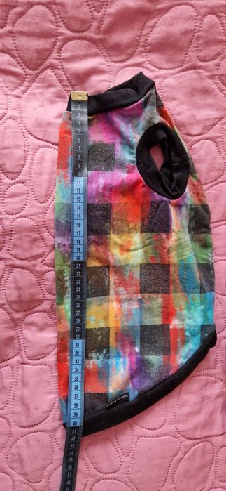 Ubranka dla kotka psa