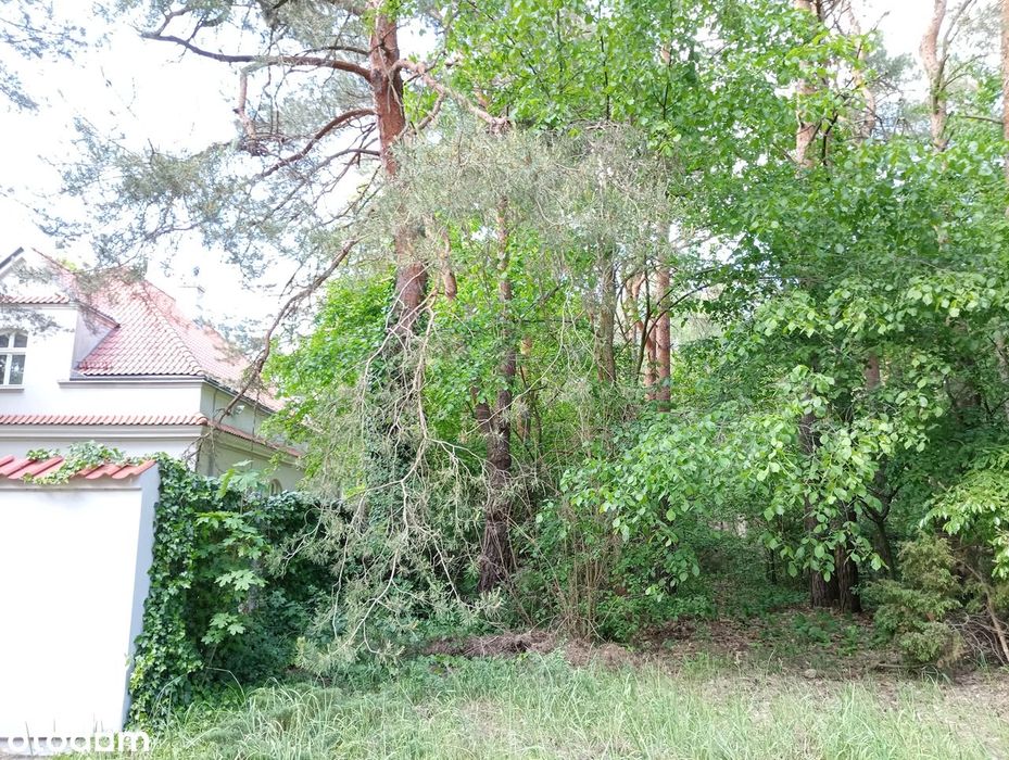 Wawer. Prestiżowa okolica - Widok 4