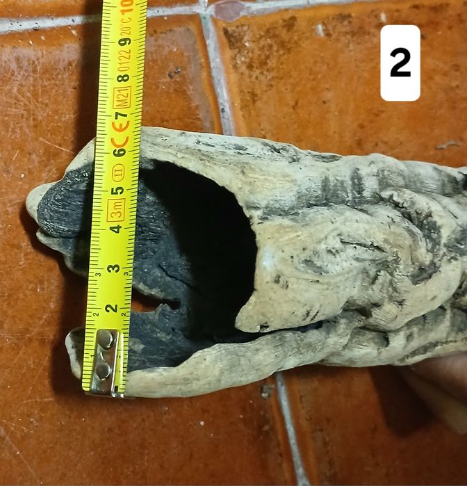 Cortiça para terrario ou decoração