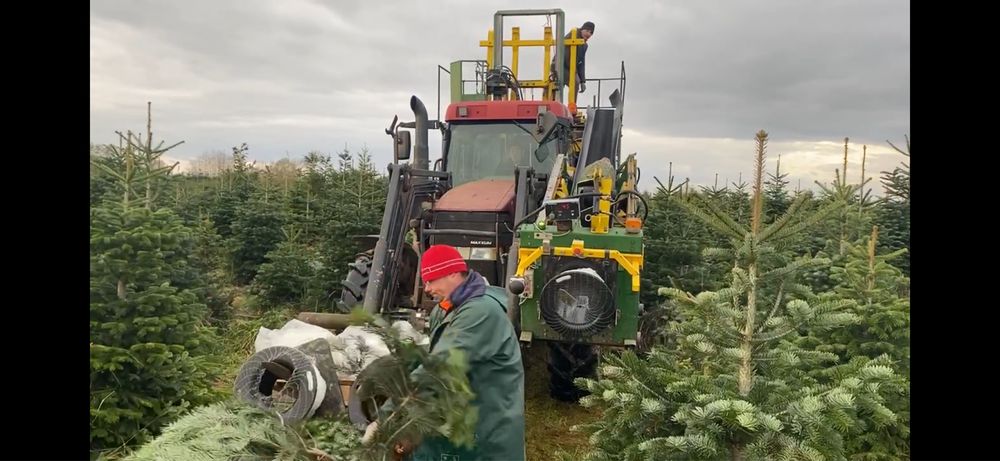 Kombajn do choinek compactree kompletny jodla jodly wycinka choinka