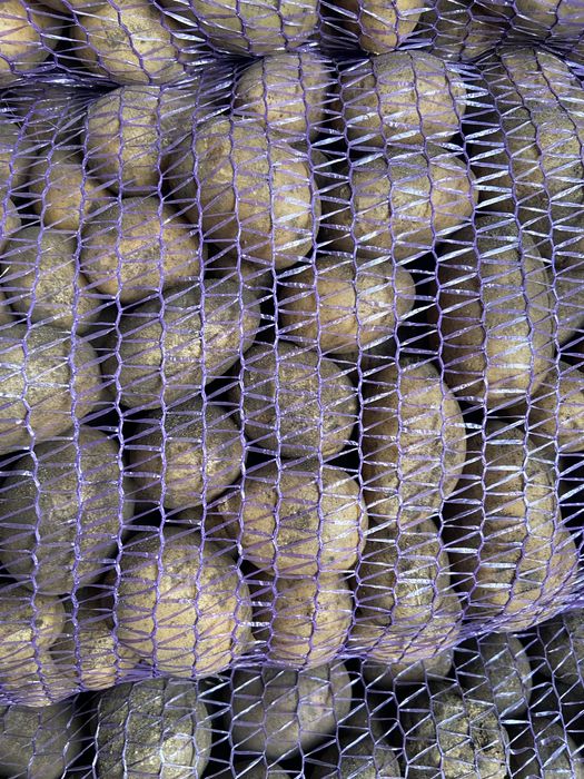 Насінева картопля різних сортів опт