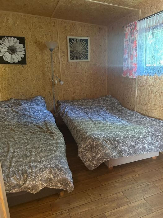 Przyjezierze domek letniskowy wynajmę
