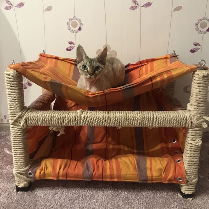 Гамак для животных, когтеточка