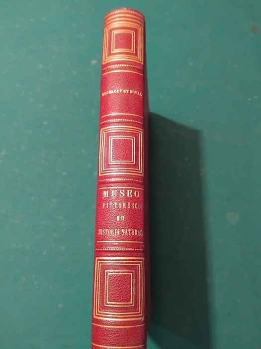 Livro Muséo Pittoresco