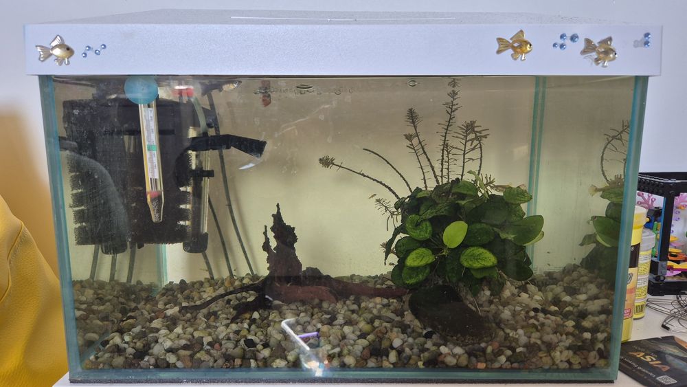 Akwarium 25l komplet z osprzętem i rybkami