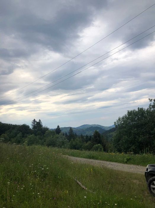 Ділянка, 60сот-5га, с.Буковець,Верховинського р-ну, Івано-Франк. обл.