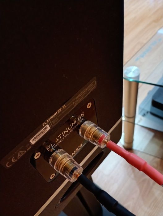 Акустическая система Tannoy Platinum B6