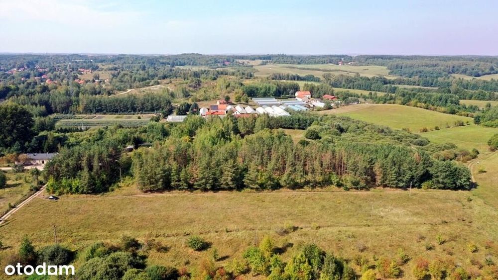 Działka bud Ogonki gm Węgorzewo - Widok 3