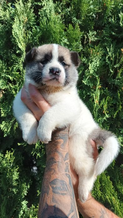 Ось така сонячна красуня