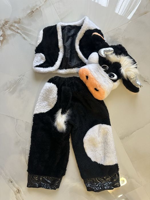 Костюми карнавальні на прокат, багато різних варіантів