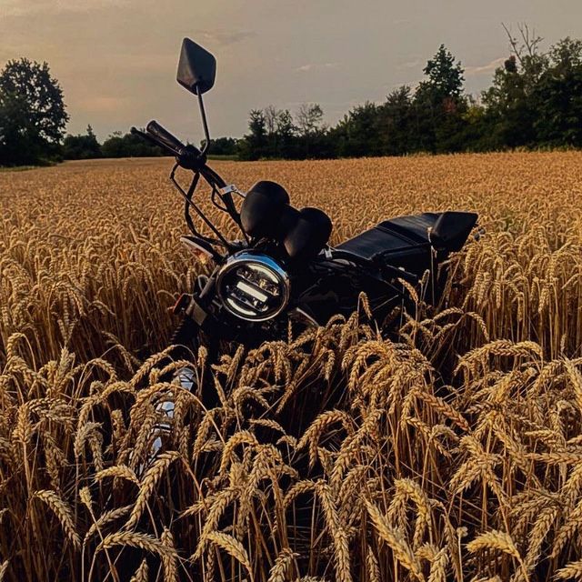 Мустанг 125 СРОЧНО