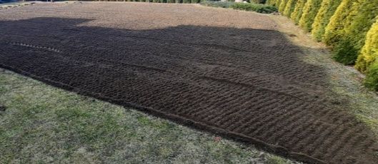 Usługi glebogryzarka separacyjna