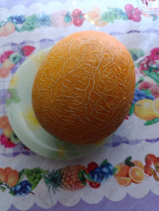 Насіння кавуна, дині