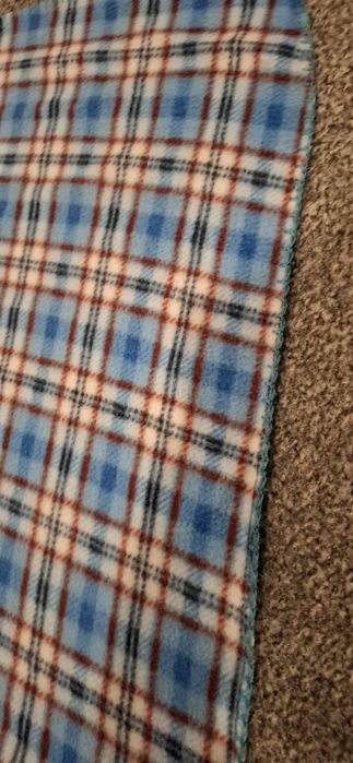 Koc niebieski kratka