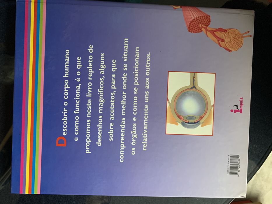 Livro didático do corpo humano para criancas