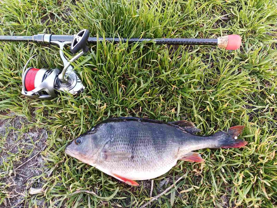 Cпінінговe вудлище Azura X-Game X94ML 2.85 м 4-22г.