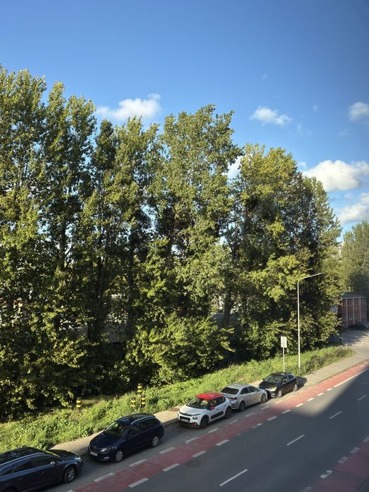 Zdjęcie 8