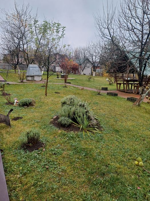 Продам окремий будинок