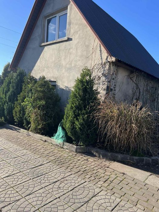 Прев'ю фото 2