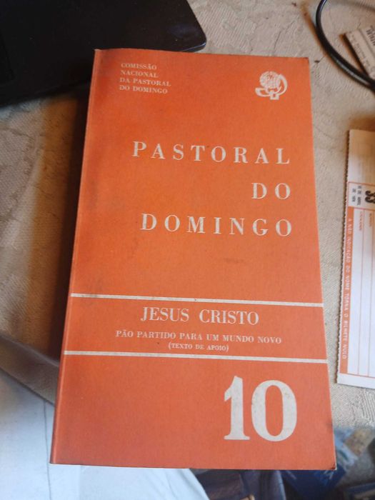 Pastoral de Domingo