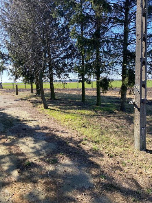 Działka Inwestycyjna pod każdą działalność - Widok 4