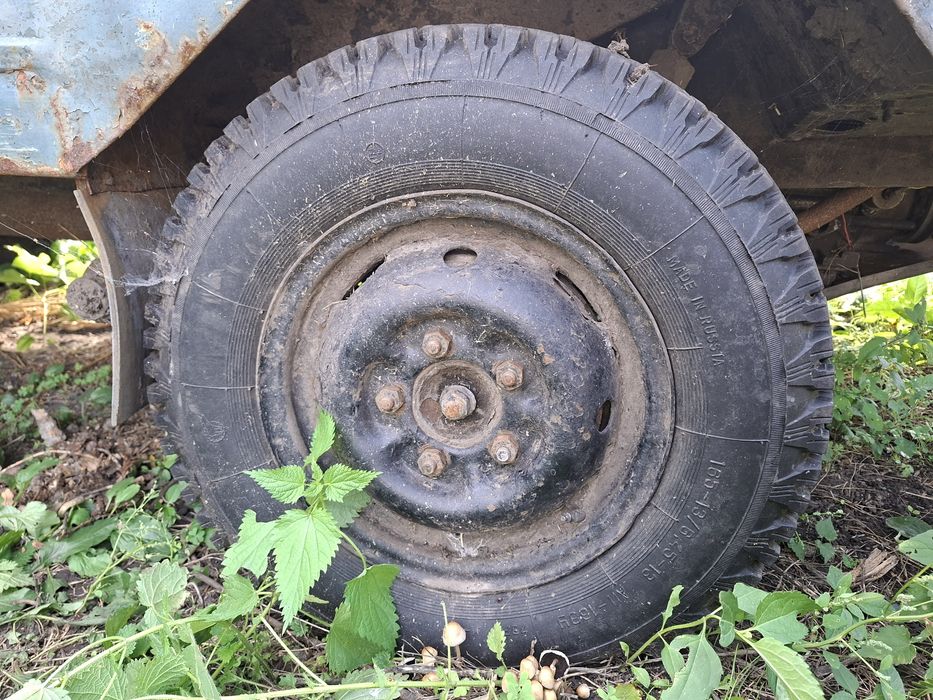 Продається Луаз волинянка