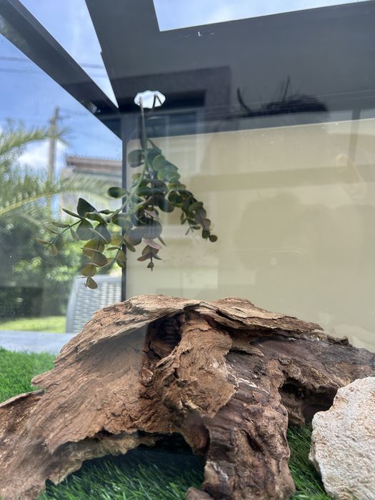 Terrário para Répteis 62x36x31 cm – Completo com 2x tapete sintentico e como novo