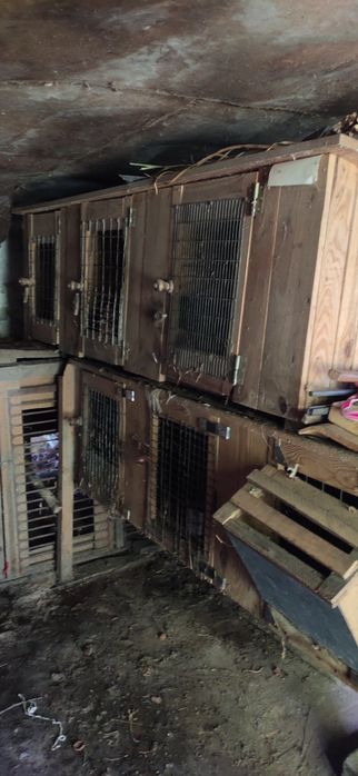 Клітки для кролів