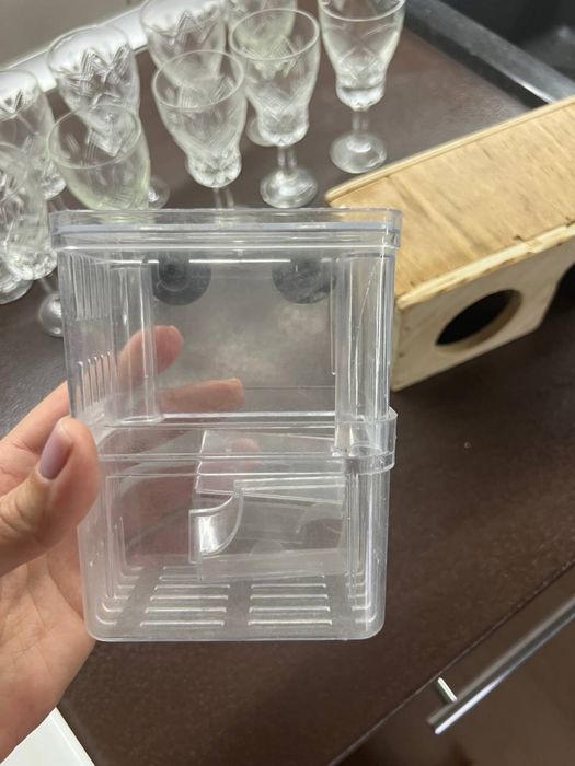 Відсадник для риб мольків