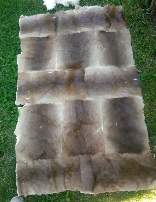 Peles de coelho naturais