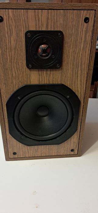 Tonsil ZG40+ po pełnej regeneracji i modyfikacji. Vintage Audio POLECA