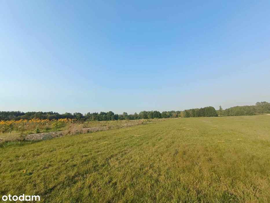 Działka/ działki budowlane Krubki Górki - Widok 3