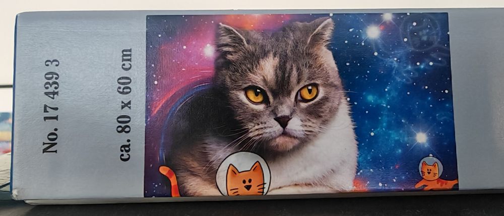 Puzzle gato, novo436415266209157121