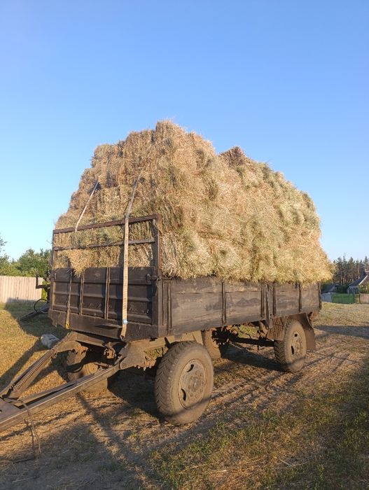 Продам Сено луговое