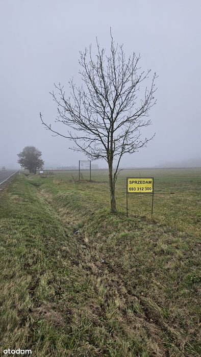 Działka 4700 m2, Piotrów