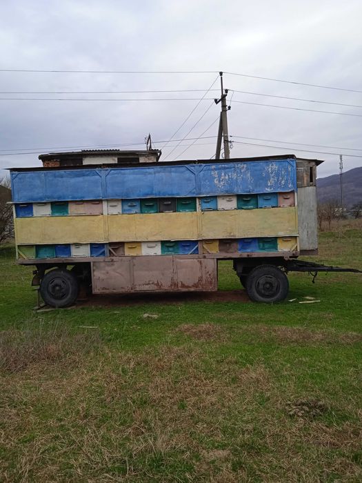 Бджоло павільйон,прицеп для бджіл на платформі зіл