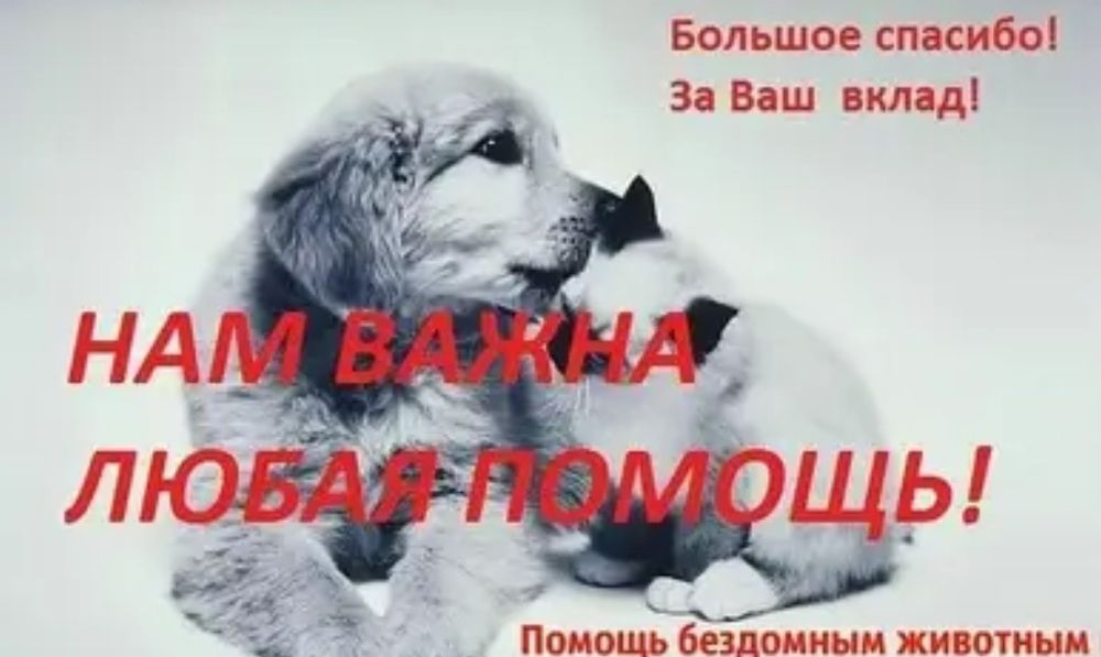 Пожалуйста поддержите нас