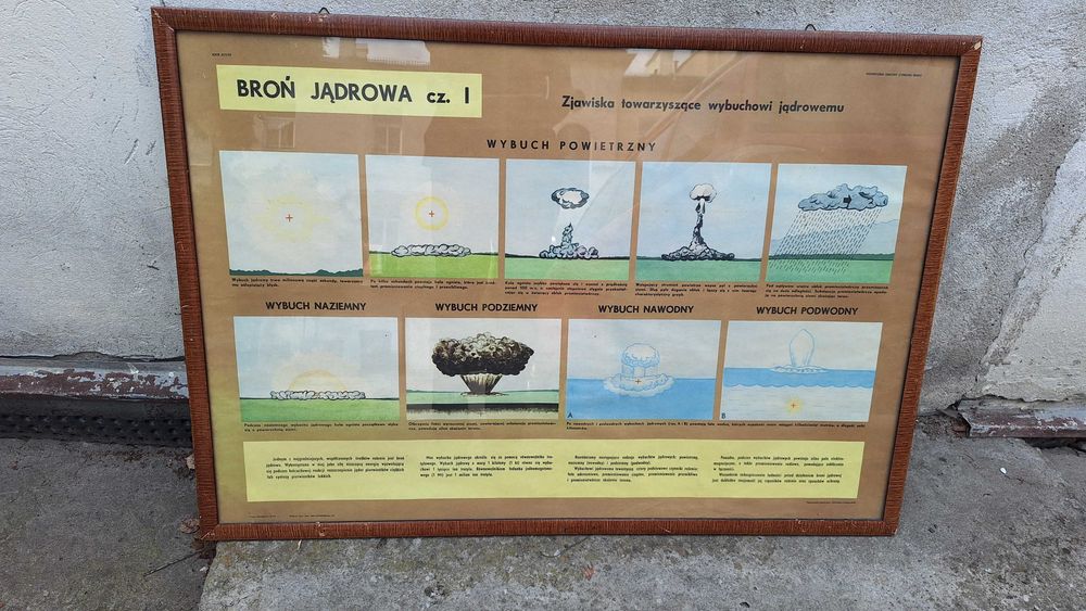 pomoc szkolna - głowa serce czaszka wątroba model