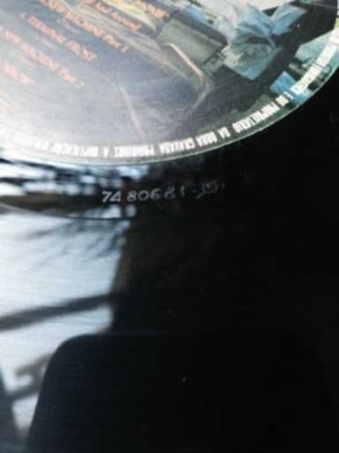 Vendo Pink Floyd mometary lapse of reason
