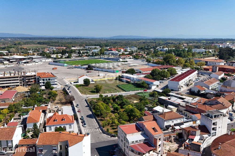 T1 - Cantanhede