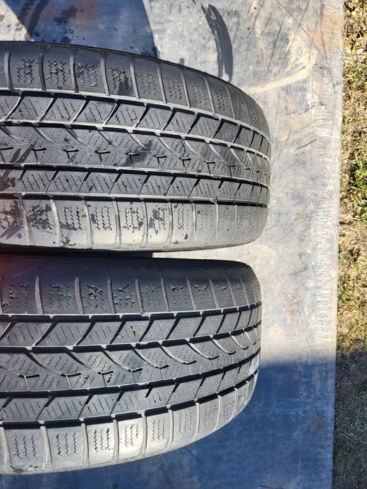 Opony zimowe Euroali Season 205 /55 R16 .