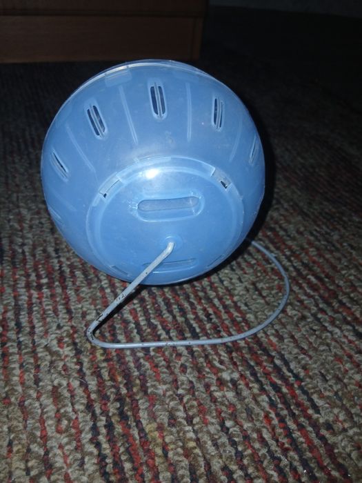 клетки для хомяков и лоток для кота