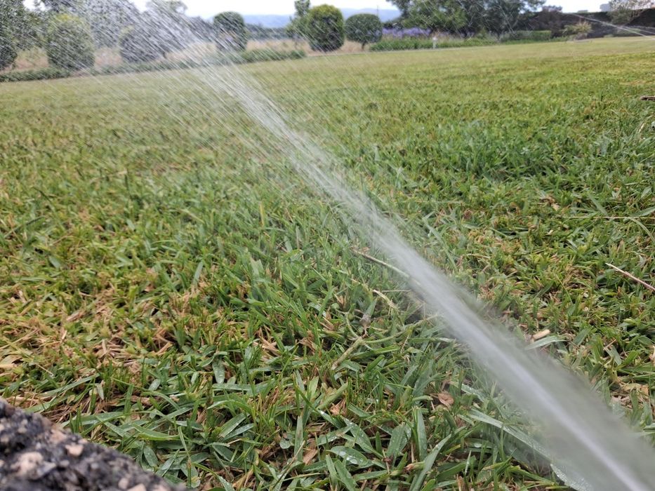 Jardineiro | Limpeza de Terrenos | Podas | Manutenção de Jardins