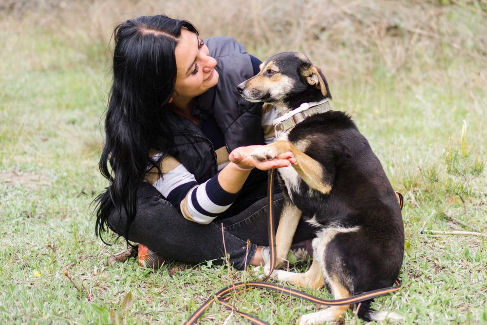 3 letni Miki szuka domu!